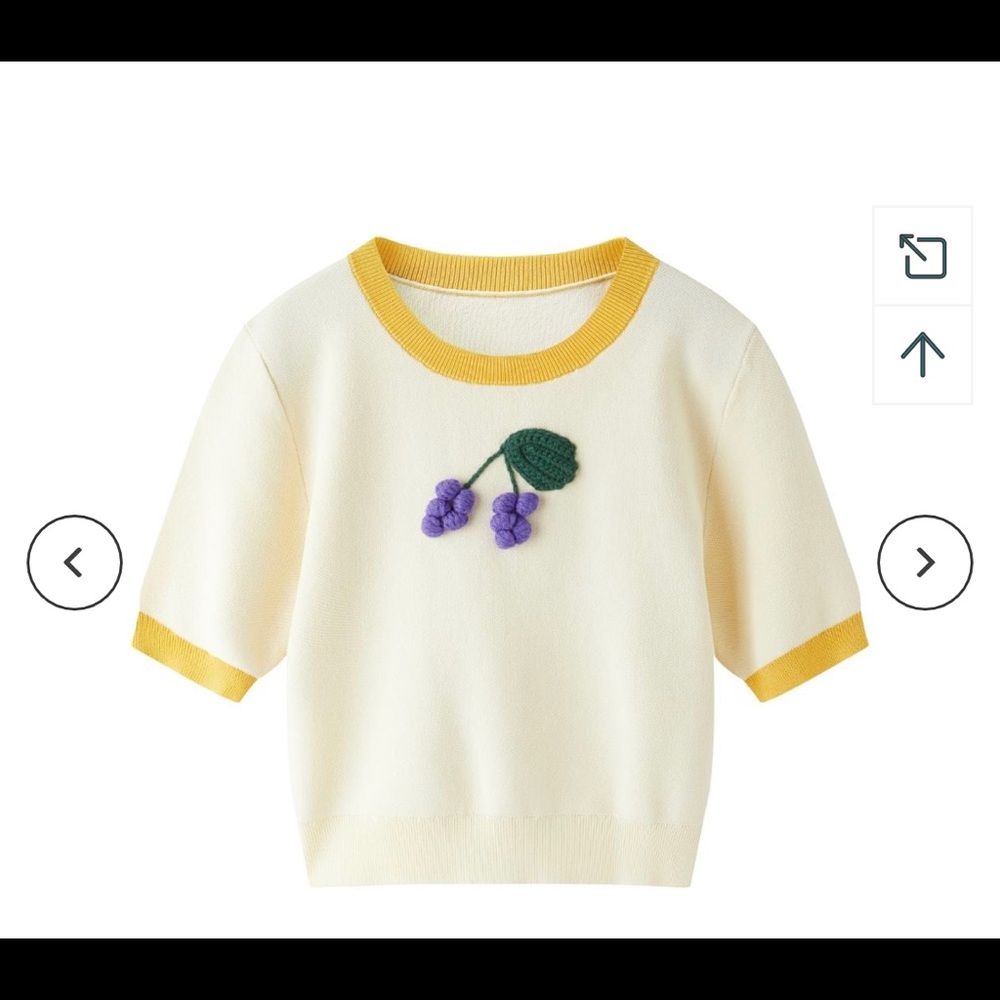 Ledin brand new Short Sleeve Sweater Grape Brooch